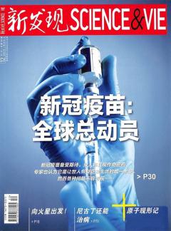 《新发现》